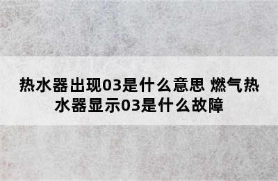 热水器出现03是什么意思 燃气热水器显示03是什么故障